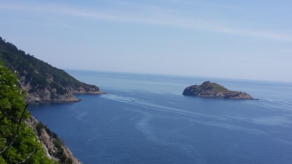 Hostellerie Provencale Port-Cros Bagian luar foto